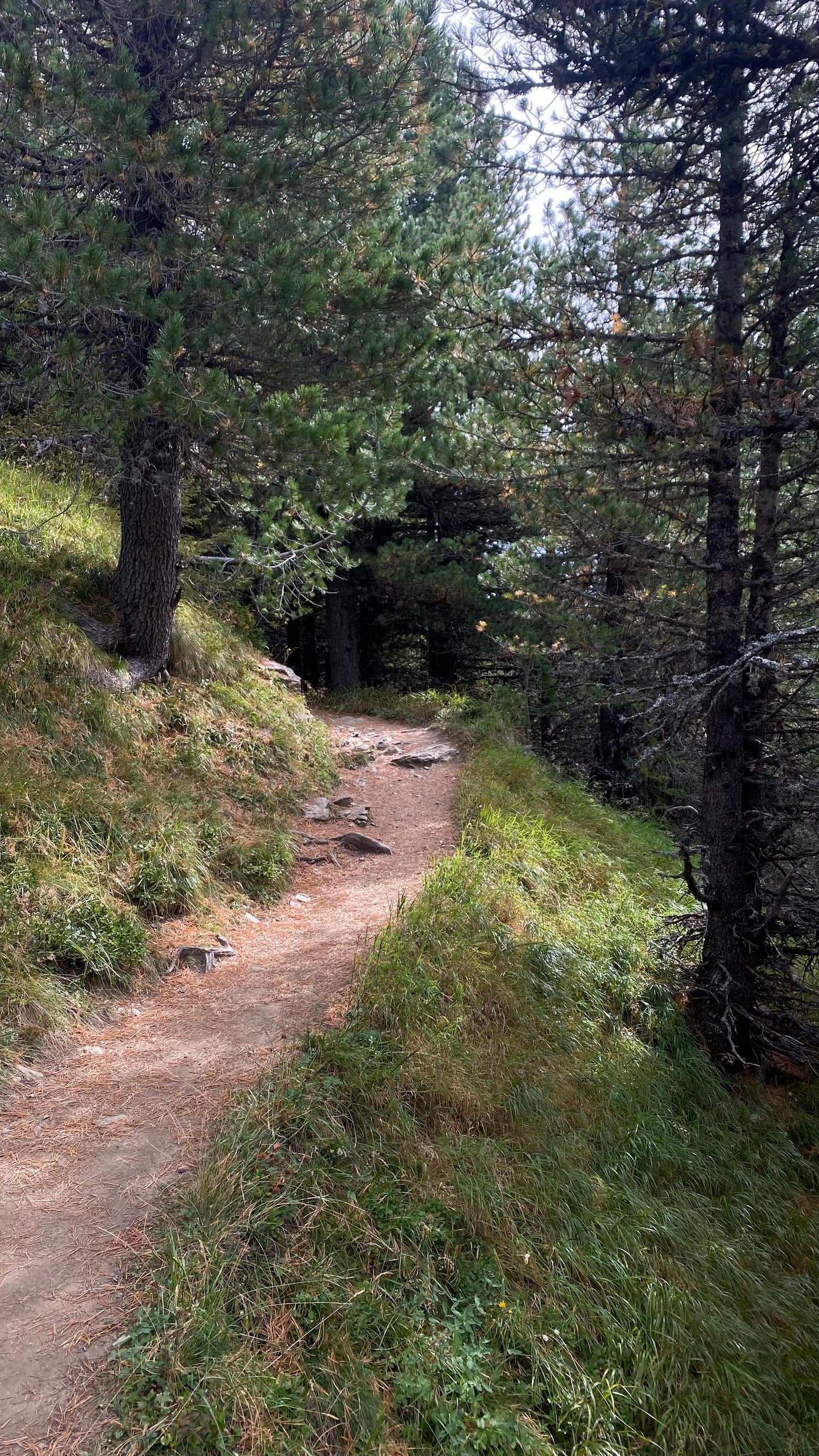 Tuxer alpen trailrunning huttentocht