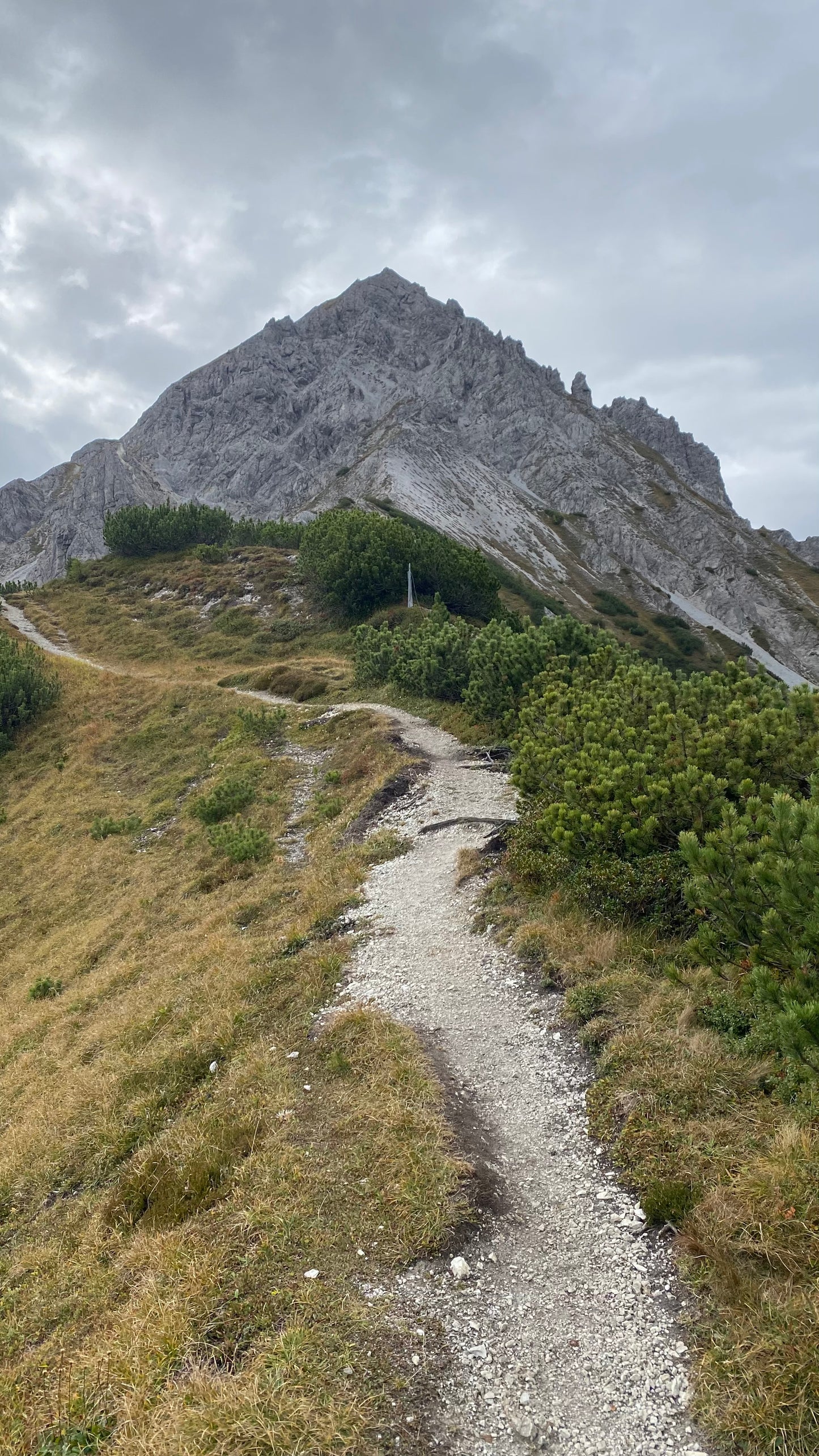 Beginner Trailrunning Tour Innsbruck with our Certified Guides Nicky & Stefan